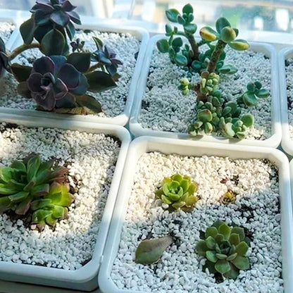 18 Quarts Perlite for Plant Soil - Amendment for Potting Soil, Improves Drainage and Aeration for Soil,Better for Root Growth…