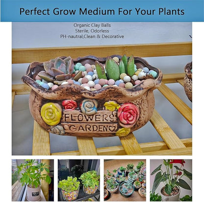 Natural Organic Colorful Leca Balls 2LBS for Plants, 8mm-10mm Ceramsite Clay Pebbles Indoor Potting Garden Soil for Orchid, Succulents, Hydroponics, Decoration, Drainage (2LBS, Colorful, 1)