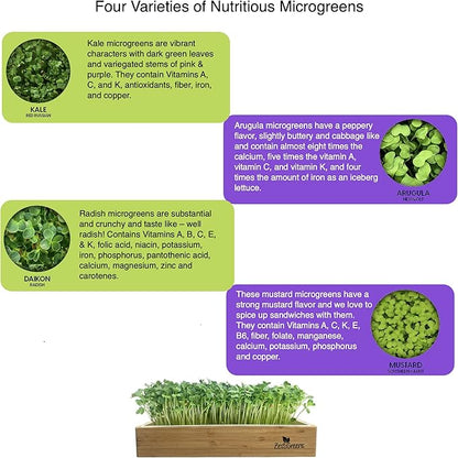Microgreens Refill for Zestigreens Microgreens Growing Kit. Kale, Daikon Radish, Arugula & Mustard Organic Microgreens Seeds & 4 mats.