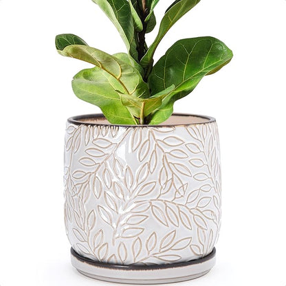 D'vine Dev 8 Inch Embossed Leaves Stoneware Planter Pot with Drainage Hole and Saucer, Smoked White, 27-A-Q-1