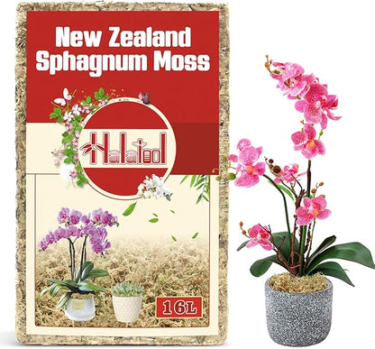 Halatool Premium New Zealand Sphagnum Moss, 200g(16L When Hydrated), for Orchid Repotting Succulent Sarracenia Potted Plants Gardening & Reptiles
