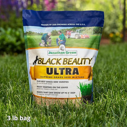 Jonathan Green (10321) Black Beauty Ultra Grass Seed - Cool Season Lawn Seed (3 lb)