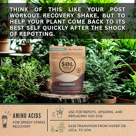 Sol Soils Sol Biotics Repot Recovery - Plant Root Stimulator, Treatment from Stress of Transplant Shock & Growth Support Supplement for Roots - 4oz