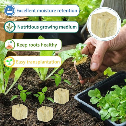 Legigo 1.5 Inch Rockwool Cubes for Hydroponics Seed Starter, Rock Wool Planting Cubes Hydroponic Garden Grow Plugs for Soilless Cultivation Plants Cutting Germination Clone(4 Sheet, 196 Plugs)