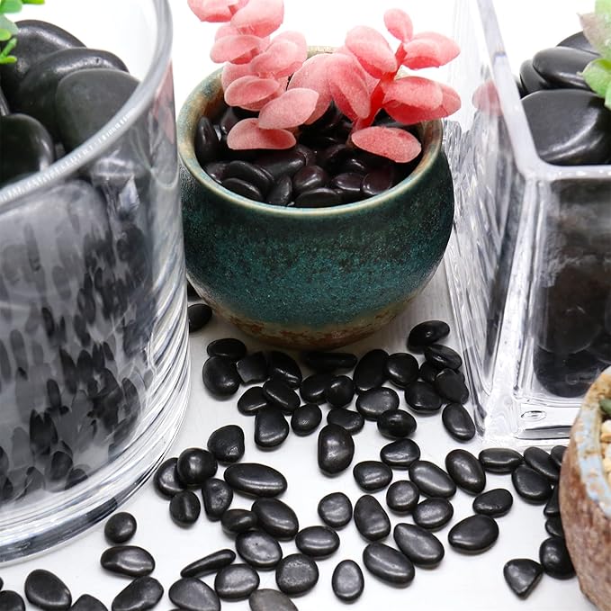 Black Rocks for Plants. Polished Decorative Pebbles. 1/5 Inch 10 lbs. for Garden, Landscaping, Vase fillers, Succulents, pots (Mini, Black, 10)