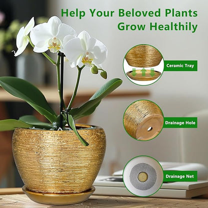 Ceramic Planter 10 Inch - Indoor Plant Pot with Drainage Hole and Saucer Large Decorative Planter Mid-Century Modern Flower Pot Outdoor for Home Decor Gold