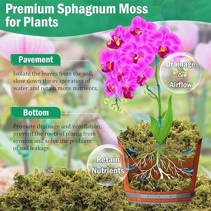 Riare 2.8LBS Premium Sphagnum Moss for Plants- 55QT Natural Dried Plant Moss for Potted Plants, Orchid Moss for Repotting, Soft Green Decorative Moss for Succulents, Reptiles & DIY Crafts