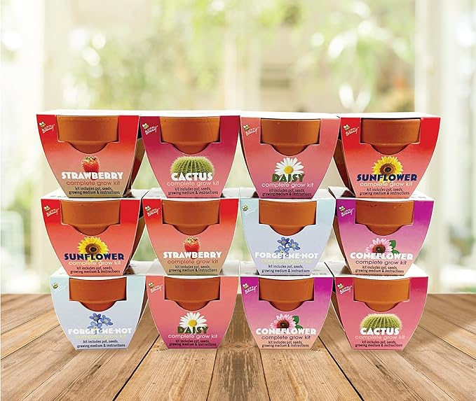 BUZZY Seeds Terracotta Mini Grow Pots 12-Pack – All-in-One Flower Kits with Growing Medium, Sunflower, Daisy, Coneflower, Strawberry, Forget-Me-Not, and Cactus Seeds, DIY Plant Starter Collection
