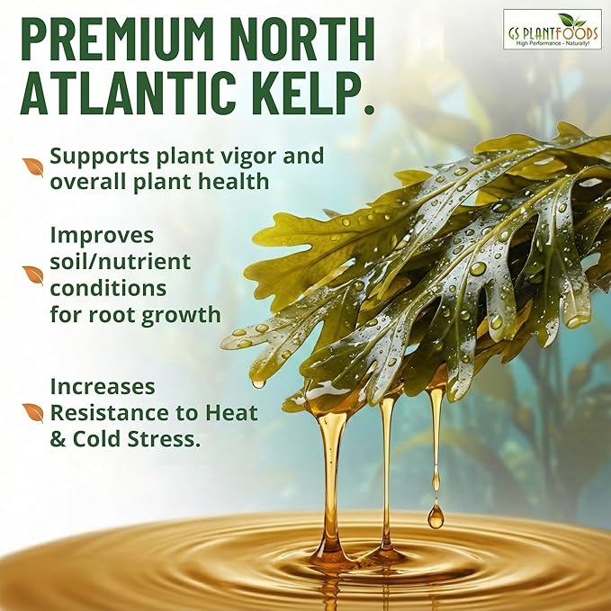 GS Plant Foods Liquid Kelp Fertilizer – Suitable for Organic Growing, OMRI Listed Seaweed Concentrate for Lawns, Gardens & Soil - 1 Gallon (Makes Up To 800+ Gallons)