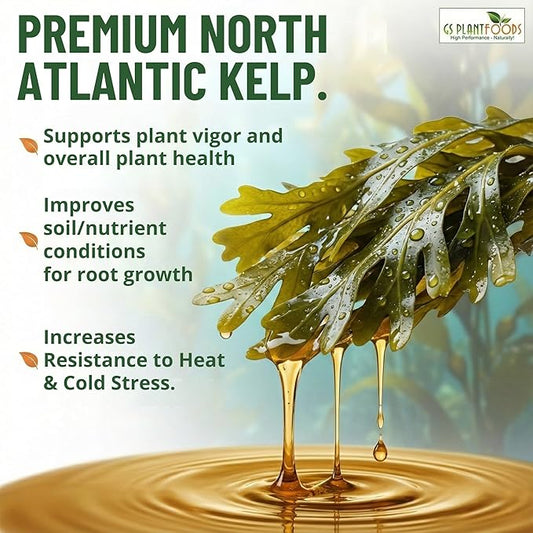 GS Plant Foods Liquid Kelp Fertilizer – Suitable for Organic Growing, OMRI Listed Seaweed Concentrate for Lawns, Gardens & Soil - 1 Gallon (Makes Up To 800+ Gallons)