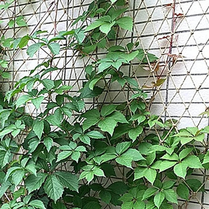 Trellis for Climbing Plants, Jute Plant Support Netting Jute Garden Netting for Plants Natural Garden Trellis Twine Net for Pea Bean Climbing Vegetable 79x394 in