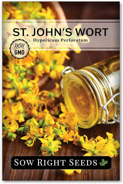 Sow Right Seeds - St John’s Wort Seeds for Planting - Non-GMO Heirloom Packet with Instructions to Plant & Grow an Outdoor or Indoor Herb Garden - Native Wildflower with Medicinal & Culinary Uses (1)