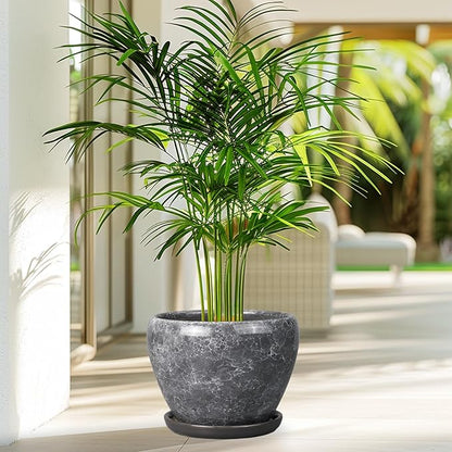 8 Inch Plant Pot - Ceramic Planter Pot with Drainage Hole and Saucer, Glaze Garden Pot Modern Flower Pot for Indoor Plants, Gray