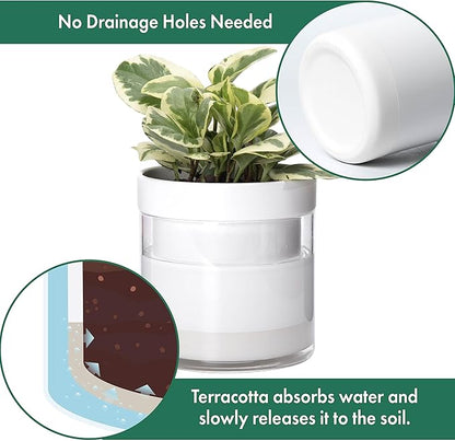 Phoenix Vine 6 Inch Self Watering Planter, White Terracotta Clay Pot with Glass Reservoir for Indoor Plants, Herbs, Flowers, Set of 2, 52-B-F-2