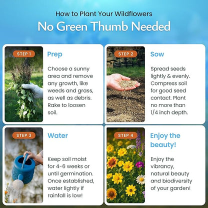 Created By Nature All Perennial Flower Seeds, 15 Flower Varieties, 49,000 Wildflower Seeds