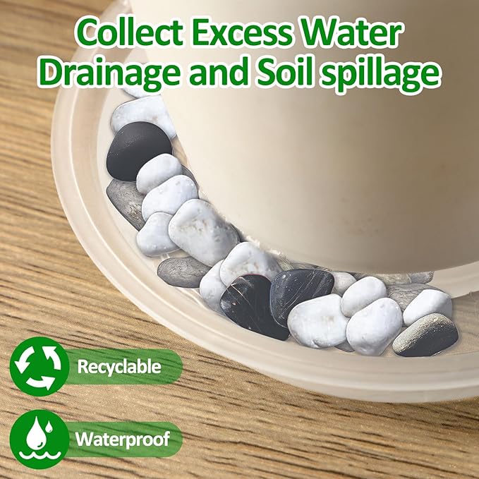 Augshy 18 Pack Plant Suacer 6 Inche Plant Drip Trays for Pots Clear Plant Pot Trays Water-Repellent Plant Saucers for Gardens Balconies and Indoors