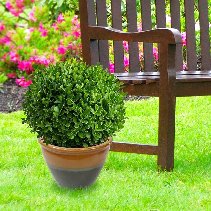 Sunnydaze Large Ceramic Plant Pot - Round Outdoor Glazed Ceramic Planter Pot with Drainage - Chalet - Forest Lake Green - 14.5"