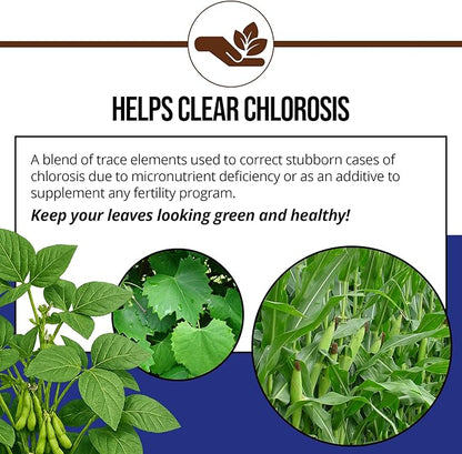 Jack's Elementals Mix of Soluble Traces MOST Water-Soluble Fertilizer with Micronutrients to Correct Chlorosis in Plants Grown in Continuous Liquid Feed Programs, 1lb