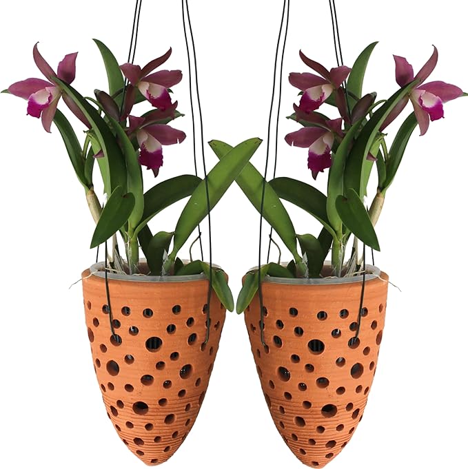 2 Terracotta Rocket Shaped Orchid Pots with Holes for Small Plants, Hanging Clay Orchid Planters for Outdoors