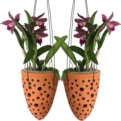 2 Terracotta Rocket Shaped Orchid Pots with Holes for Small Plants, Hanging Clay Orchid Planters for Outdoors