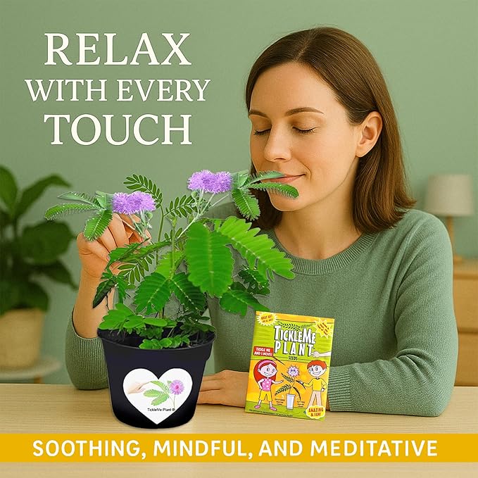 TickleMe Plant Seeds for Indoor Planting (2-Pack) – Touch-Sensitive Plant That Closes Leaves When Touched – Easy Indoor House Plant Seeds – Fun Educational Activity for Kids & Adults