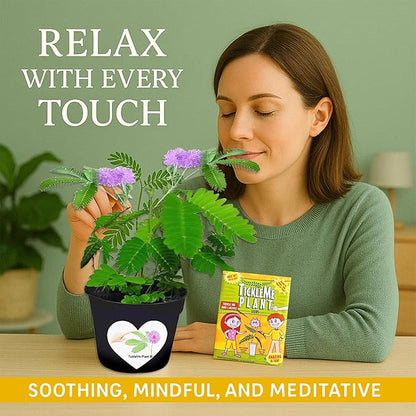 TickleMe Plant Seeds for Indoor Planting (2-Pack) – Touch-Sensitive Plant That Closes Leaves When Touched – Easy Indoor House Plant Seeds – Fun Educational Activity for Kids & Adults