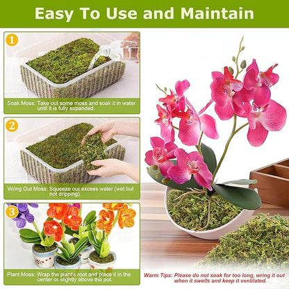 Legigo 4.4LBS Sphagnum Moss for Plants, 80QT Natural Orchid Moss Potting Mix Dired, Green Forest Plant Moss for Orchid Repotting Carnivorous Succulents Indoor Potted Plants Gardening and Reptiles
