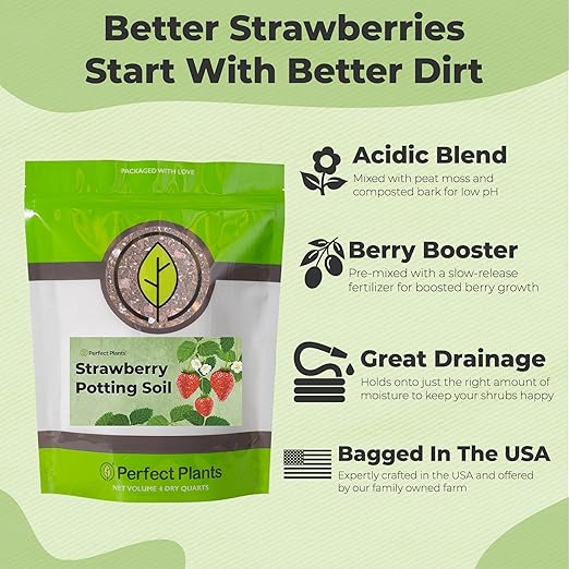 Perfect Plants Organic Strawberry Potting Mix | Organic Premium Mix | Use with Strawberry's, Pineberry's, or Other Fruit Plants (4qt) (Pack of 2)