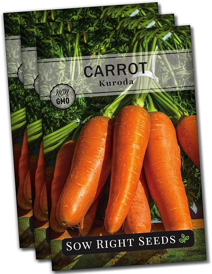 Sow Right Seeds - Kuroda Carrot Seeds for Planting - Non-GMO Heirloom Packet with Instructions to Plant a Home Vegetable Garden - Great for Outdoor Fall Planting - Great Gardening Gift (3)