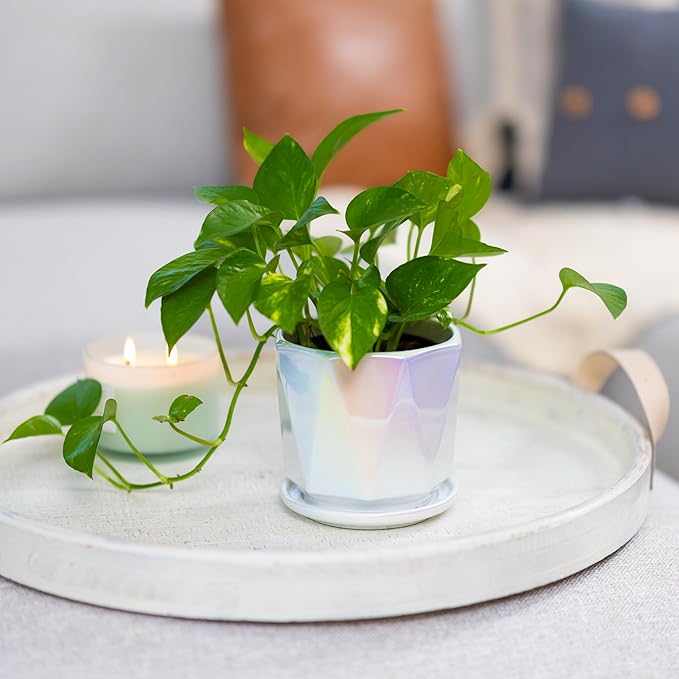 Coco Andrea Ceramic Plant Pots for Indoor Plants with Drainage & Saucers - 5-inch Iridescent White Planters for Houseplants, Succulents & Flowers - 2-Piece Housewarming Gift Set (2, Large)