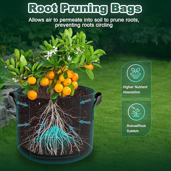 5 Pack 3 Gallon Fabric Grow Bags, Heavy Duty 300G Thickened Aeration Nonwoven Fabric Garden Pots with Handles, Planting Bag for Tomato, Potato, Strawberry, Vegetable, Fruits and Flowers