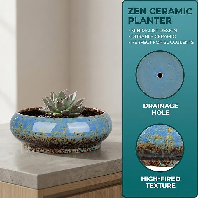 Homoyoyo Ceramic Lotus Bowl Planter Porcelain Cactus Planters for Lotus Seeds Succulents Bonsai Water Lily Arrangement Bonsai Succulents Cactus Without Hole Blue
