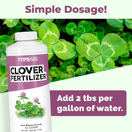 Clover Fertilizer- Liquid Fertilizer for Clover Lawns, Great for Microclover and Dutch White Clover, 32oz