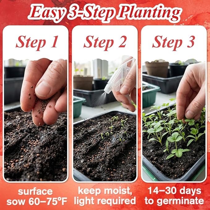 5000+ Strawberry Seeds for Planting –Heirloom Non-GMO Giant Red Strawberry Seeds, Everbearing Fruit Plants & Seeds for Garden Beds, Pots, Raised Beds, Balcony & Hydroponic Systems, 0.18 oz (5 g)