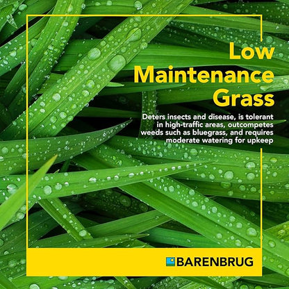 BARENBRUG USA 24049 Winter Wonderlawn Grass Seed, 10 lb