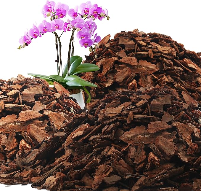 AVALUTION Orchid Potting Bark-18QT Organic Orchid Bark for Plants, All Natural Pine Bark Wood Chips for Houseplant Mulch, Orchid Plants Root Development, Mulch for Potted Plants