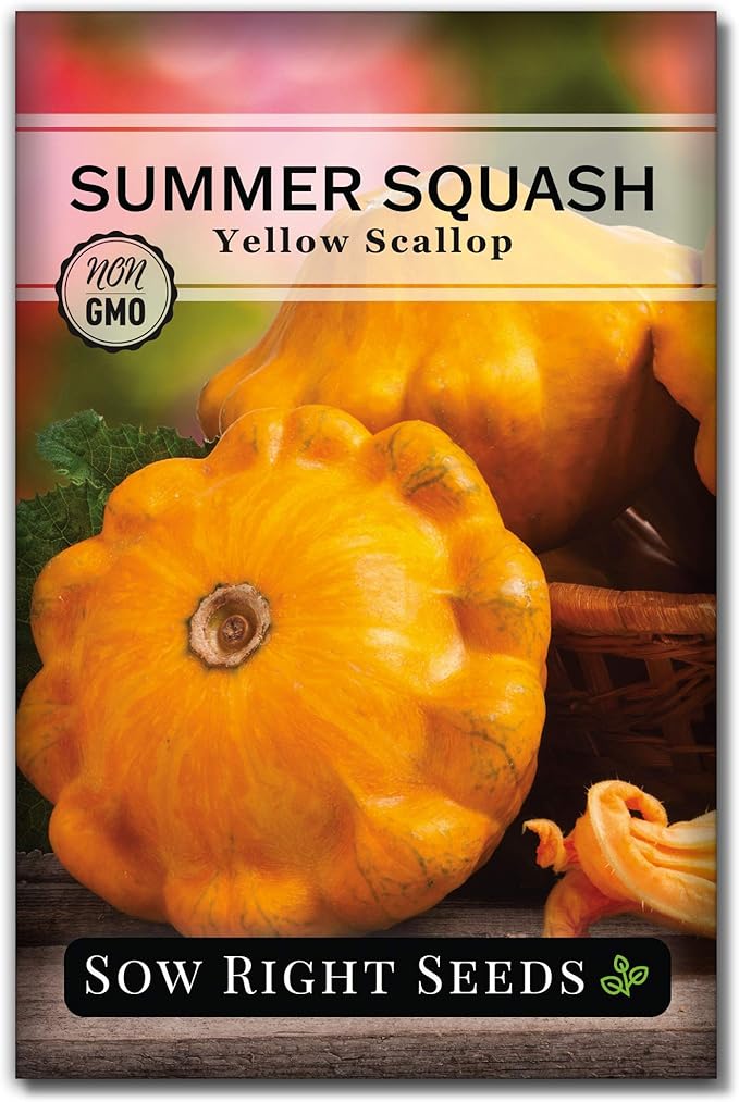 Sow Right Seeds - Yellow Scallop Squash Seed for Planting - Non-GMO Heirloom Packet with Instructions to Plant a Home Vegetable Garden, Traditional Summer Variety - Tasty Mini Squash (1)