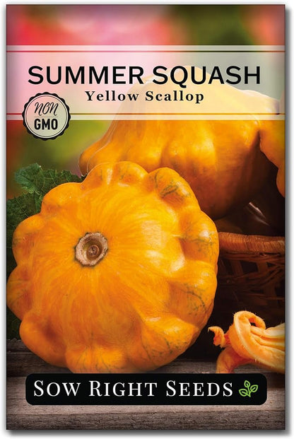 Sow Right Seeds - Yellow Scallop Squash Seed for Planting - Non-GMO Heirloom Packet with Instructions to Plant a Home Vegetable Garden, Traditional Summer Variety - Tasty Mini Squash (1)