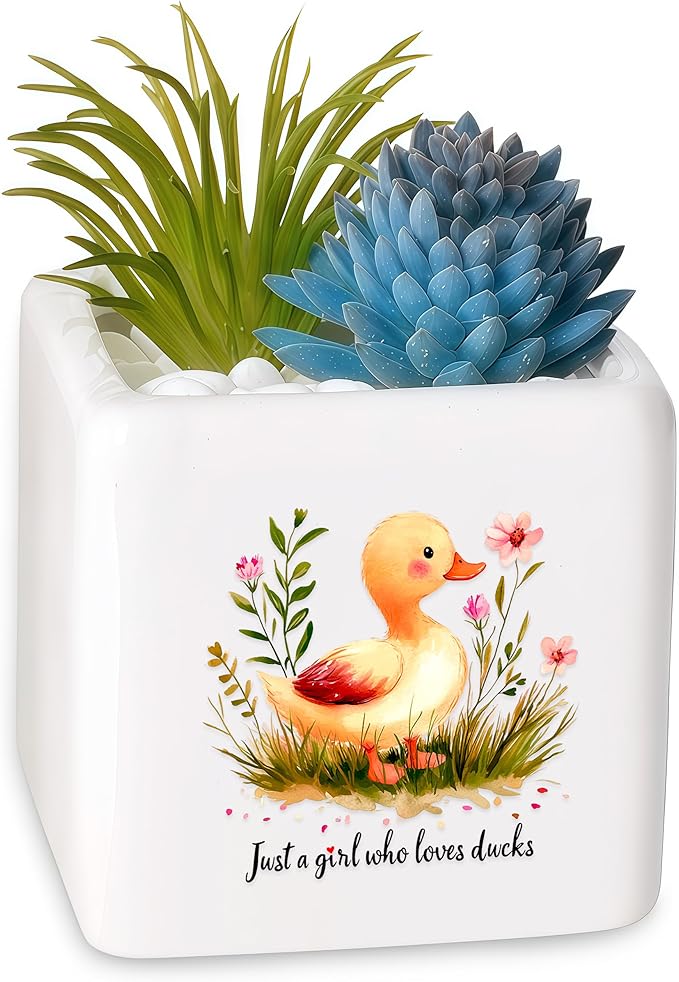 Duck Succulent Planter Flower Plant Pot Small, Gifts for Women Teens Girls Kids, Duck Lovers Themed Stuff Accessories Things Decor Merch, Home Office Table Desk Decoration!