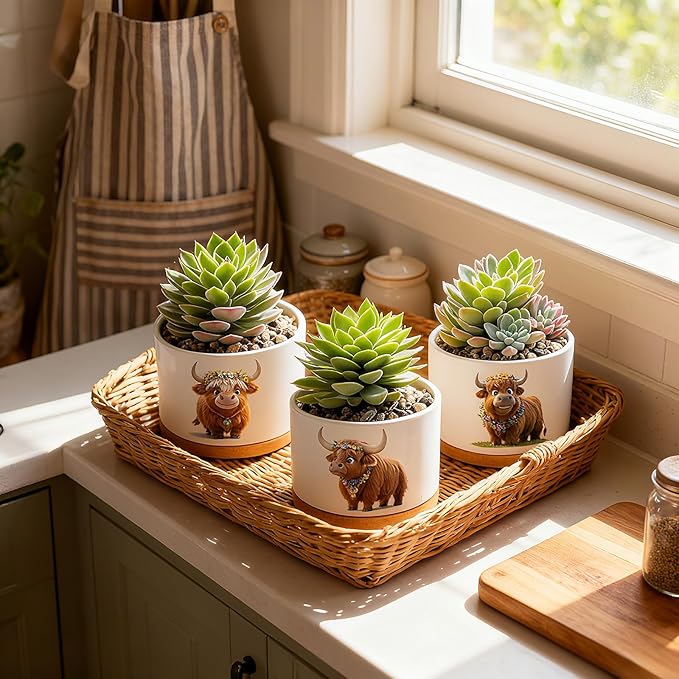 Highland Cow Planters for Indoor Plants – 1350°C Kiln-Fired Fine Ceramic Succulent Planter Set of 3, Funny Animal Pots for Room, Bathroom, Yoga, Meditation Decor (No Plant Included)