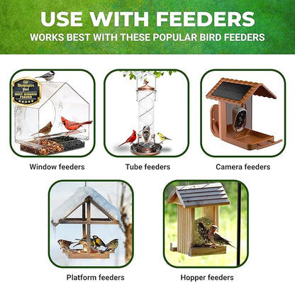 Nature Anywhere Safflower Supreme Bird Seed for Outside Feeders - Made in USA - Clean Premium Quality Wild Birds Food - Hi Protein Bird Feed - No Fillers