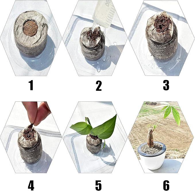 Woohome 202 PCS Peat Pots and Peat Pellet Fiber Soil Plant with Plant Label, Round Peat Pots and 30MM Peat Soil Pellets, Plastic Plant Tags and Loose Soil Tool for Home Plant Starters