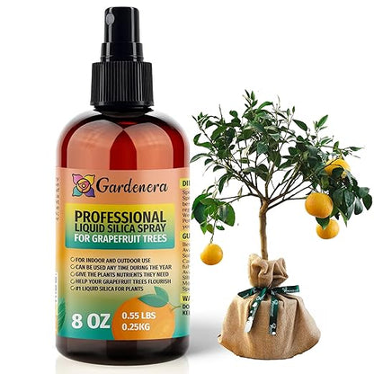 𝐒𝐔𝐏𝐄𝐑𝐈𝐎𝐑 Liquid Silica Boost Fertilizer and Supplement Spray for Grapefruit Trees – Pre-Mixed, Ready-to-Use Liquid Silicon Plant Superfood Mist for Indoor & Outdoor Plants – 8oz
