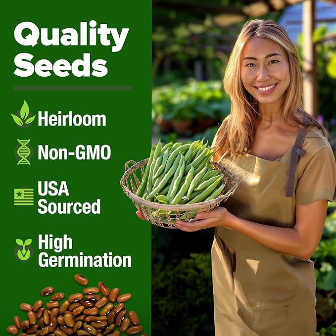HOME GROWN Non GMO Contender Bush Bean Pack - 56 Heirloom Green Beans, Vegetable Seeds for Planting, Emergency Food Supply (Phaseolus vulgaris)
