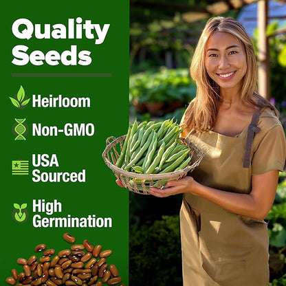 HOME GROWN Non GMO Contender Bush Bean Pack - 56 Heirloom Green Beans, Vegetable Seeds for Planting, Emergency Food Supply (Phaseolus vulgaris)