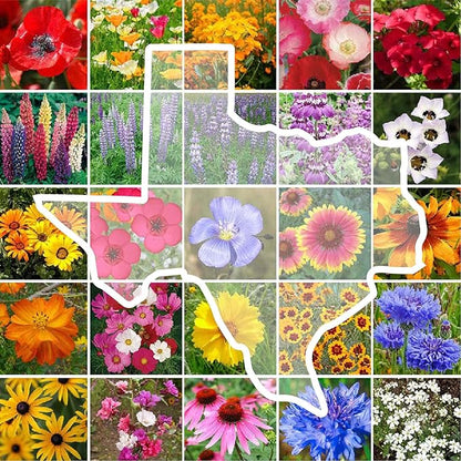 Eden Brothers Texas Wildflower Mixed Seeds for Planting, 5 lb, 2,400,000+ Seeds with Cornflower, Birds Eyes, African Daisy, Attracts Pollinators, Plant in Spring or Fall, Zones 3, 4, 5, 6, 7, 8, 9, 10