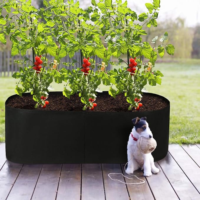 Planting Grow Bag,Felt Fabric Raised Planting Bed,Raised Garden Bed Planter Breathable Planting Container Rectangle Growing Pot (Black - 4ft*2ft - 2pack)