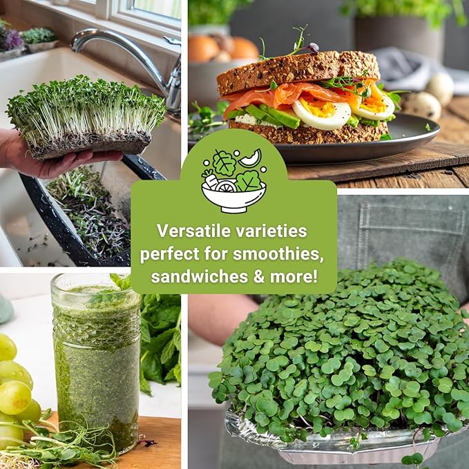 Sow Right Seeds - Superfood Microgreen Seed Mix for Growing - Instructions to Quickly Sprout Your Own Healthy Microgreens - Plant indoors with no special equipment - Non-GMO Seeds for Sprouting