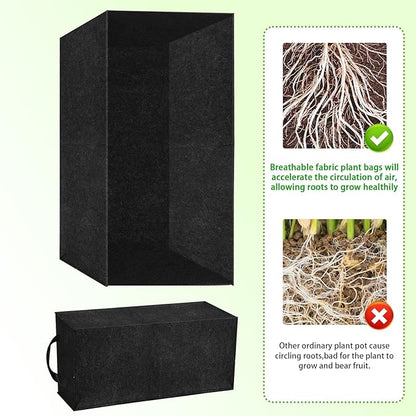 3 Pack Plant Grow Bags,Breathable Fabric Raised Garden Bed,36L/9.5 Gallon 400GSM Heavy Duty Rectangle Growing Pots for Vegetable,Flowers,Fruit/ Flower Planter Containers with Handles(60x30x20cm)