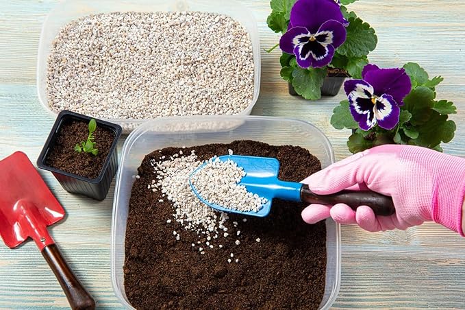 Organic Perlite for Plants, Horticultural Perlite Bulk, Soil Amendment for Enhanced Drainage and Plant Root Growth, Ideal for Potting Mixes (2 Quart)